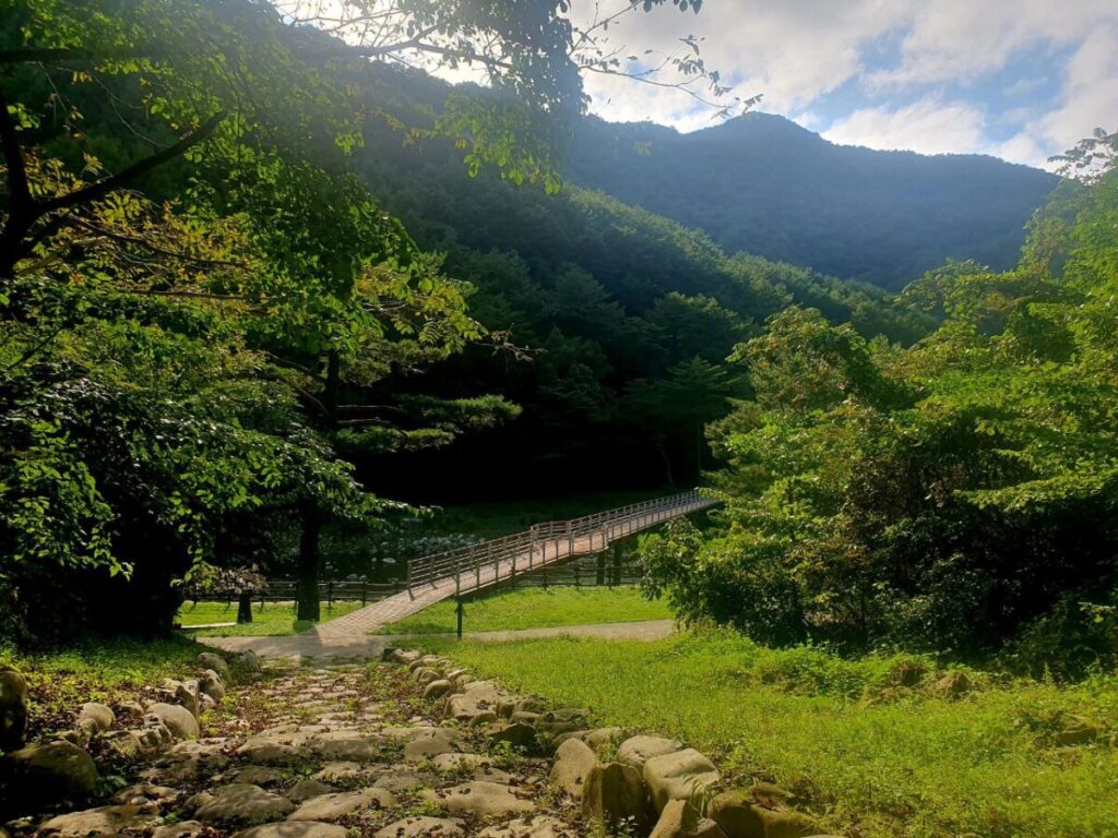 수달 산책로